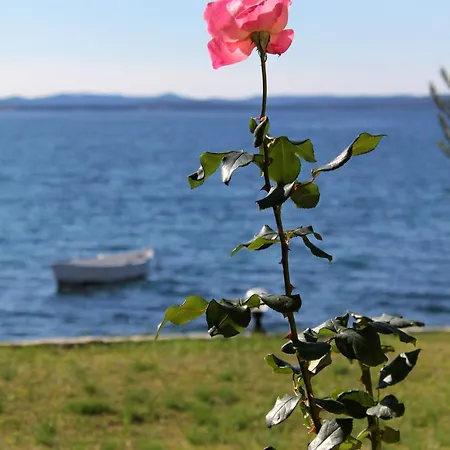 By The Sea Kozino, Zadar - 5803 *